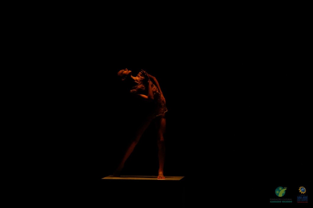 27ºFestidança 2016